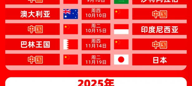 爱游戏在线-世界杯预选赛末轮，中国队大胜晋级