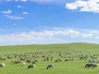 爱游戏官网网页版入口-包含十百年初，东南林河水如茵，看球队独步扬鞭徙彎的词条