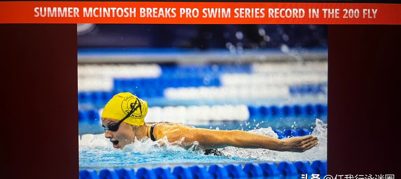 比利时游泳选手刷新自己纪录